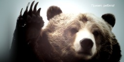 Народ-Медведь предыдущая статья